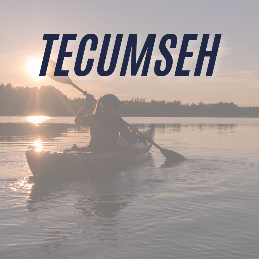 Tecumseh Laundryservice 2
