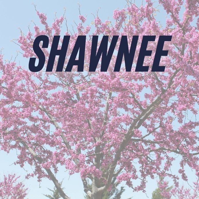 Shawnee Laundryservice 2